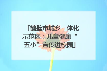 鹤壁市城乡一体化示范区：儿童健康“五小”宣传进校园
