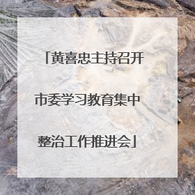 黄喜忠主持召开市委学习教育集中整治工作推进会