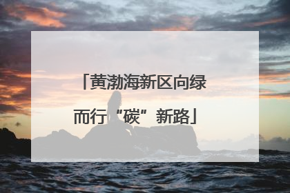 黄渤海新区向绿而行“碳”新路