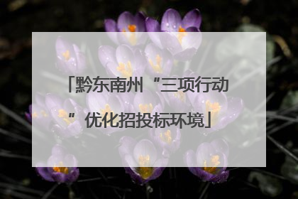 黔东南州“三项行动”优化招投标环境