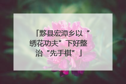 黟县宏潭乡以“绣花功夫”下好整治“先手棋”