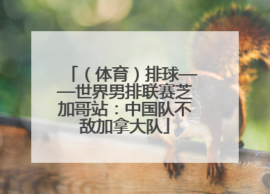 （体育）排球——世界男排联赛芝加哥站：中国队不敌加拿大队