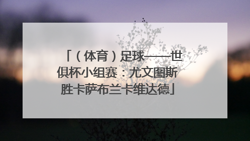 （体育）足球——世俱杯小组赛：尤文图斯胜卡萨布兰卡维达德