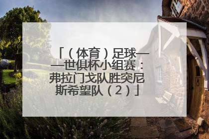 （体育）足球——世俱杯小组赛：弗拉门戈队胜突尼斯希望队（2）