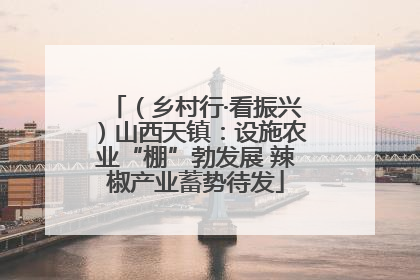 （乡村行·看振兴）山西天镇：设施农业“棚”勃发展 辣椒产业蓄势待发