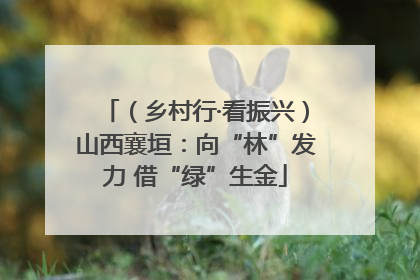 （乡村行·看振兴）山西襄垣：向“林”发力 借“绿”生金