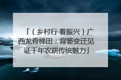 （乡村行·看振兴）广西龙脊梯田：背篓变迁见证千年农耕传统魅力