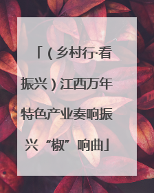 （乡村行·看振兴）江西万年特色产业奏响振兴“椒”响曲