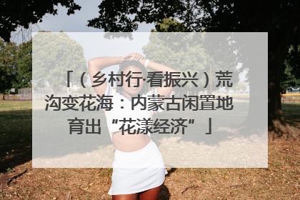 （乡村行·看振兴）荒沟变花海：内蒙古闲置地育出“花漾经济”
