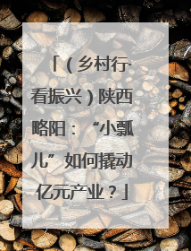 （乡村行·看振兴）陕西略阳：“小瓢儿”如何撬动亿元产业？