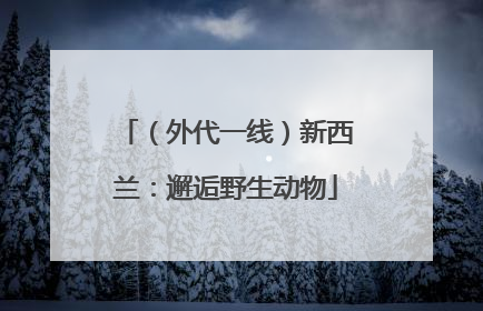 （外代一线）新西兰：邂逅野生动物