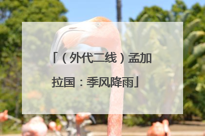 （外代二线）孟加拉国：季风降雨
