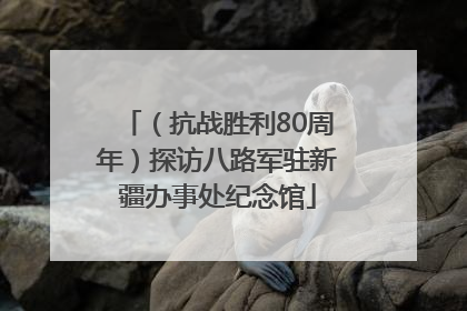 （抗战胜利80周年）探访八路军驻新疆办事处纪念馆