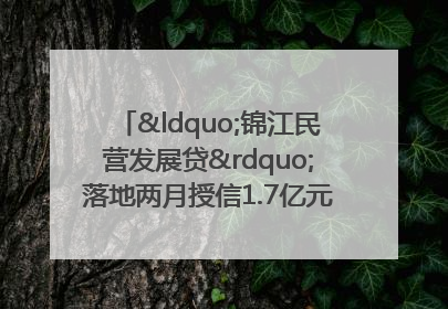 “锦江民营发展贷”落地两月授信1.7亿元，惠及118家民企