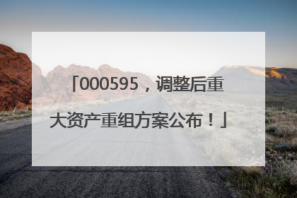 000595，调整后重大资产重组方案公布！
