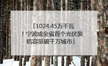 1024.45万千瓦！宁波成全省首个光伏装机容量破千万城市