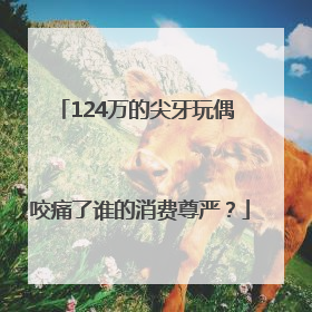 124万的尖牙玩偶 咬痛了谁的消费尊严？