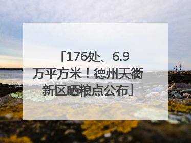 176处、6.9万平方米！德州天衢新区晒粮点公布