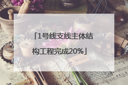 1号线支线主体结构工程完成20%