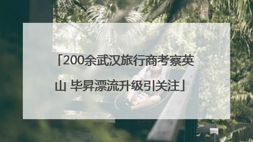 200余武汉旅行商考察英山 毕昇漂流升级引关注