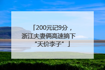 200元记9分，浙江夫妻俩高速摘下“天价李子”