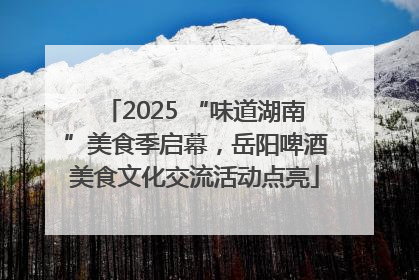 2025 “味道湖南”美食季启幕，岳阳啤酒美食文化交流活动点亮