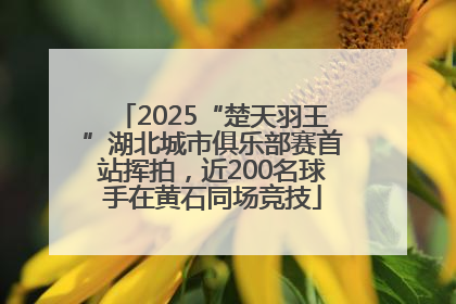 2025“楚天羽王”湖北城市俱乐部赛首站挥拍，近200名球手在黄石同场竞技
