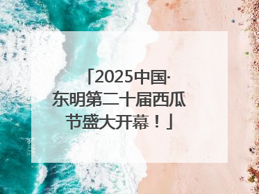 2025中国·东明第二十届西瓜节盛大开幕！