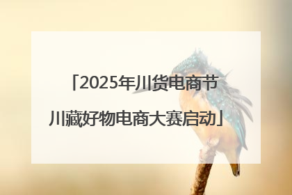2025年川货电商节川藏好物电商大赛启动