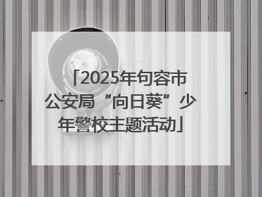 2025年句容市公安局“向日葵”少年警校主题活动