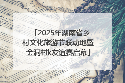 2025年湖南省乡村文化旅游节联动地暨金洞村k友谊赛启幕