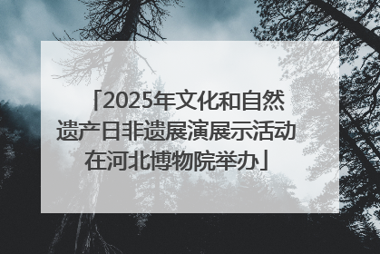 2025年文化和自然遗产日非遗展演展示活动在河北博物院举办