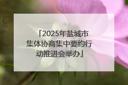 2025年盐城市集体协商集中要约行动推进会举办