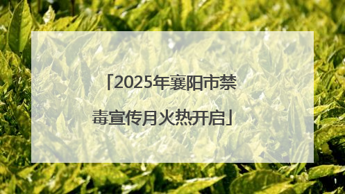 2025年襄阳市禁毒宣传月火热开启