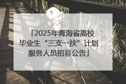 2025年青海省高校毕业生“三支一扶”计划服务人员招募公告