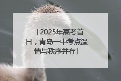2025年高考首日，青岛一中考点温情与秩序并存