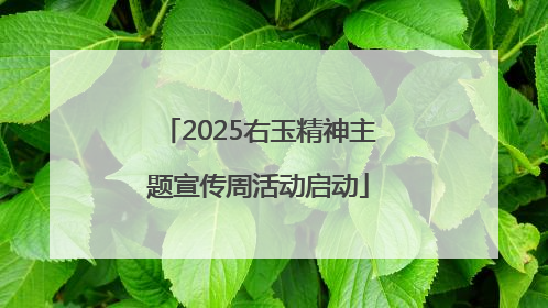 2025右玉精神主题宣传周活动启动