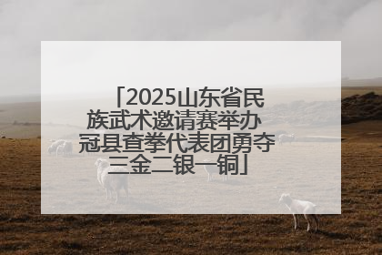 2025山东省民族武术邀请赛举办 冠县查拳代表团勇夺三金二银一铜