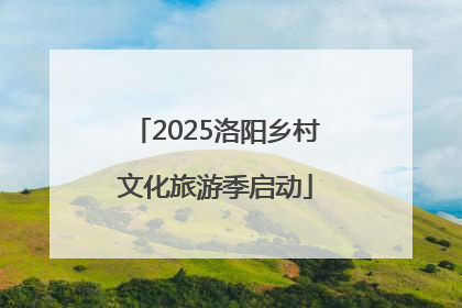 2025洛阳乡村文化旅游季启动