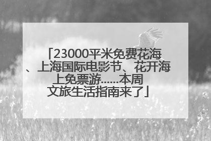 23000平米免费花海、上海国际电影节、花开海上免票游......本周文旅生活指南来了