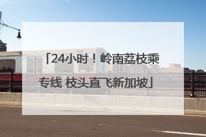 24小时！岭南荔枝乘专线 枝头直飞新加坡