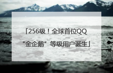 256级！全球首位QQ“金企鹅”等级用户诞生