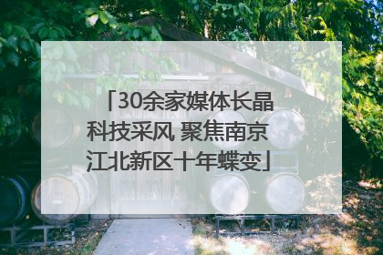 30余家媒体长晶科技采风 聚焦南京江北新区十年蝶变