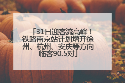31日迎客流高峰！铁路南京站计划增开徐州、杭州、安庆等方向临客90.5对