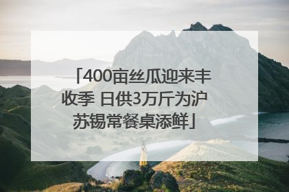 400亩丝瓜迎来丰收季 日供3万斤为沪苏锡常餐桌添鲜