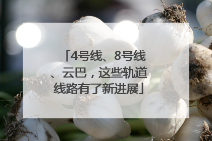 4号线、8号线、云巴，这些轨道线路有了新进展