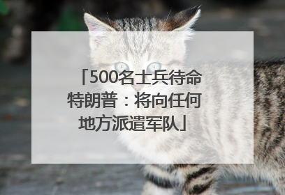 500名士兵待命 特朗普：将向任何地方派遣军队