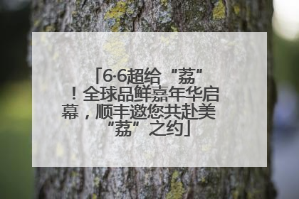 6·6超给“荔”！全球品鲜嘉年华启幕，顺丰邀您共赴美“荔”之约