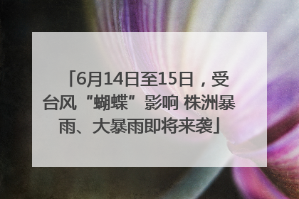 6月14日至15日，受台风“蝴蝶”影响 株洲暴雨、大暴雨即将来袭