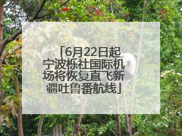 6月22日起宁波栎社国际机场将恢复直飞新疆吐鲁番航线